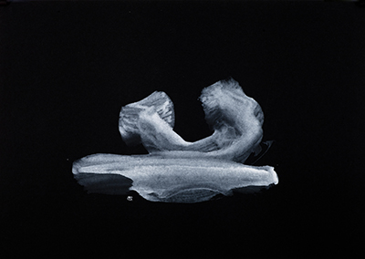 Untitled #8