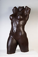 Torso